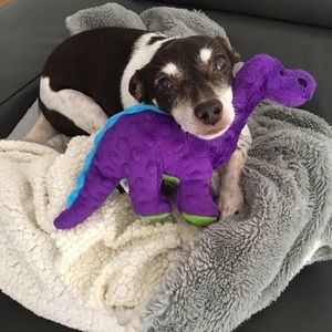 Meet your Posher, Carokyn